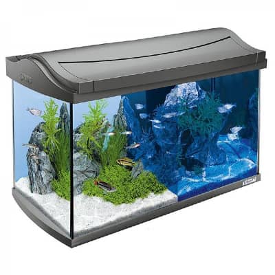 Aquaart Discovery Line Led Antracite 60L