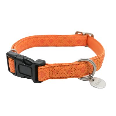 Collare Majesty in Similpelle Arancione L