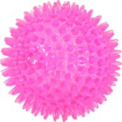 Gioco Cane Palla Tpr con Punte Fucsia CM.13