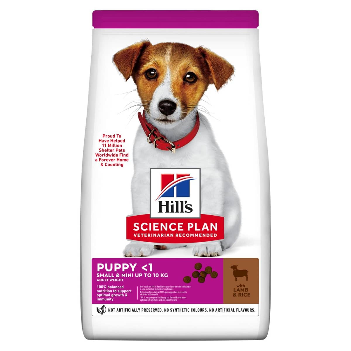 Hill's Science Plan Small&Mini Puppy con Agnello 1.5KG