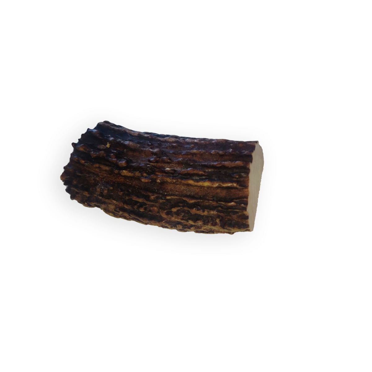 Wolly's Ranch Dog Snack Corno di Renna Aperta M