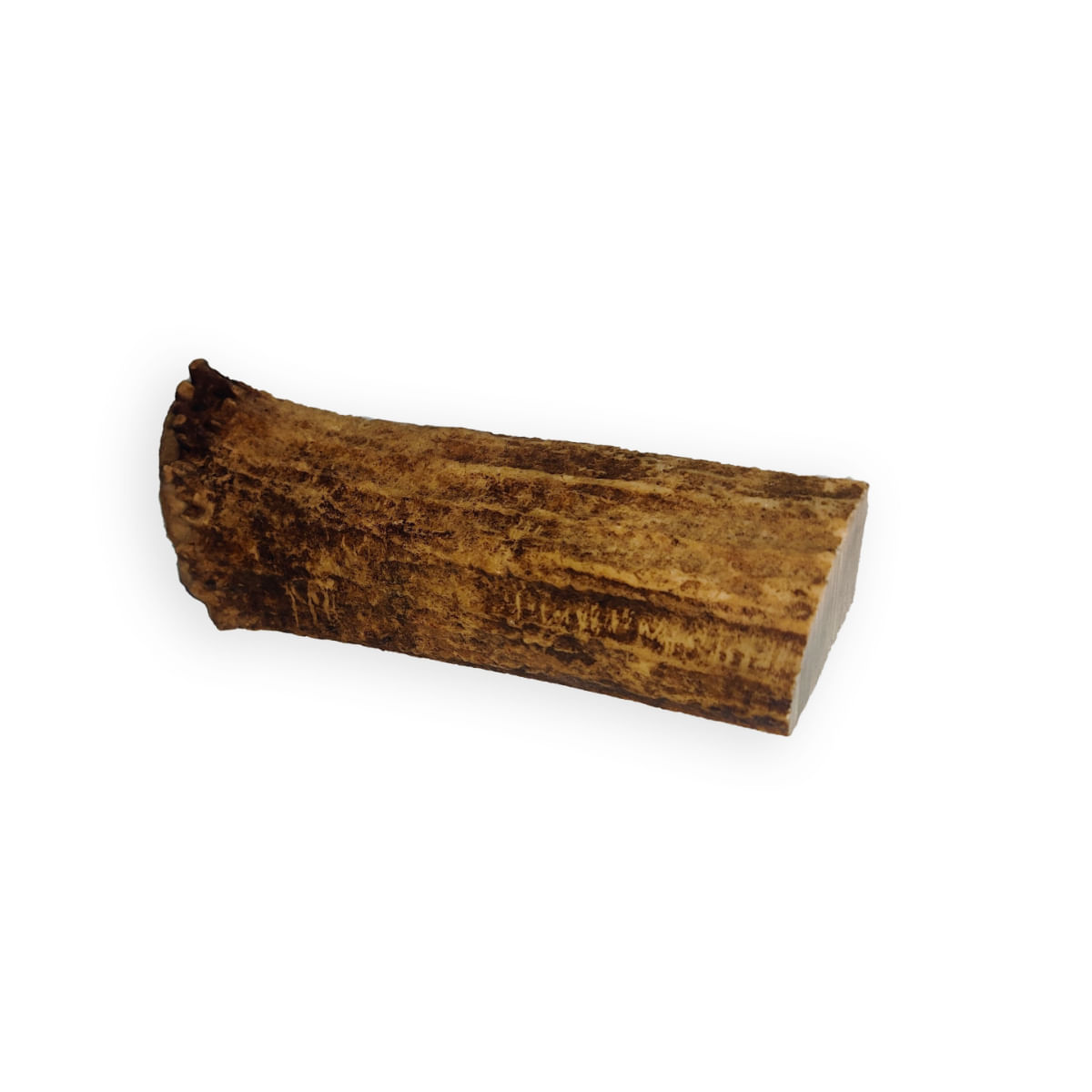 Wolly's Ranch Dog Snack Corno di Renna Aperta L