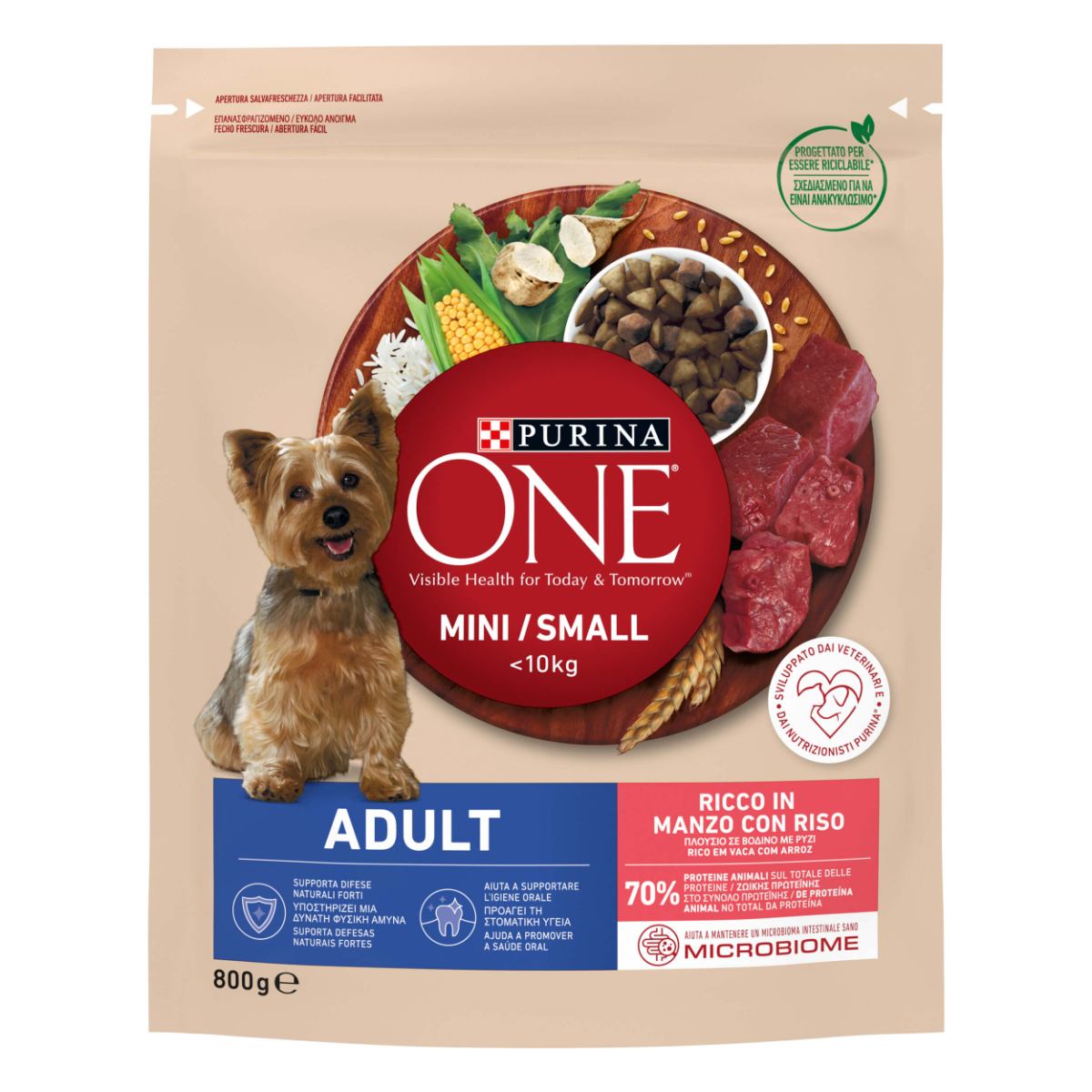 Purina One Cane Adult Mini Manzo e Riso 800G