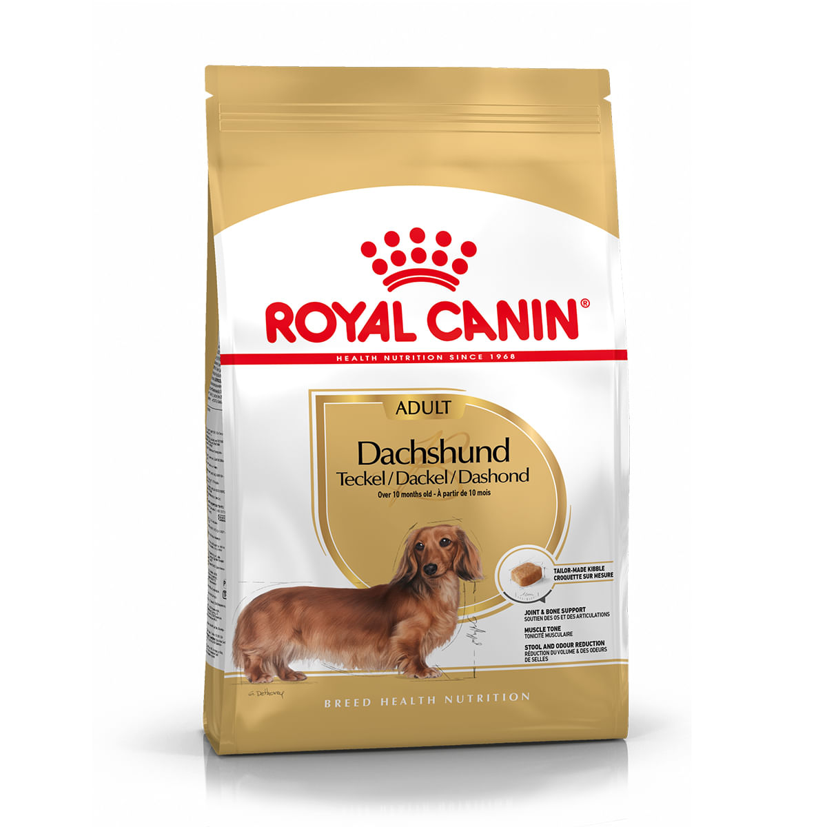 Royal Canin Bassotto Adult Alimento Completo per Cani di Razza Adulti e Maturi Oltre 10 Mesi di Età 7.5KG