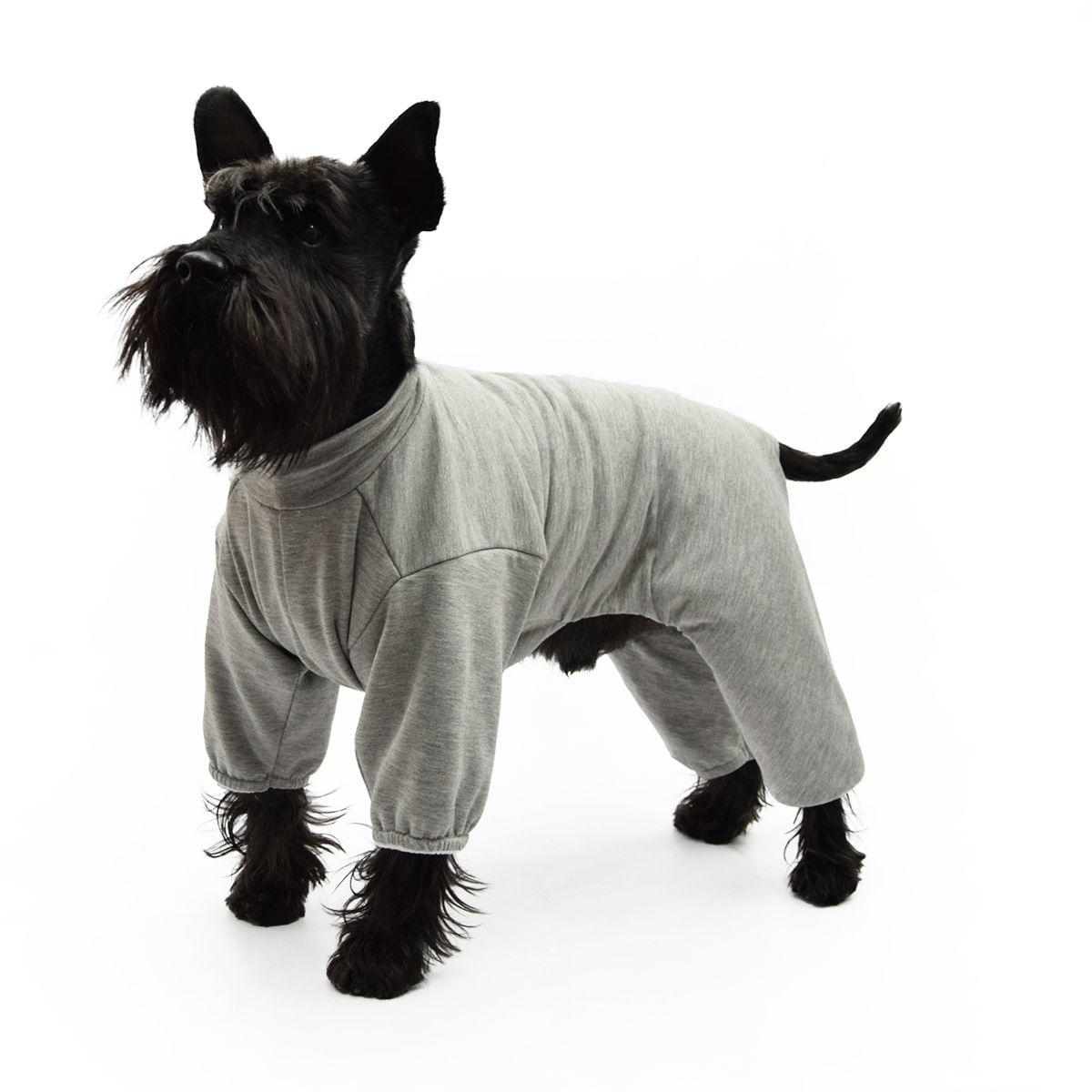 Tutina Post Operatoria  per Cane e Gatto TG.36