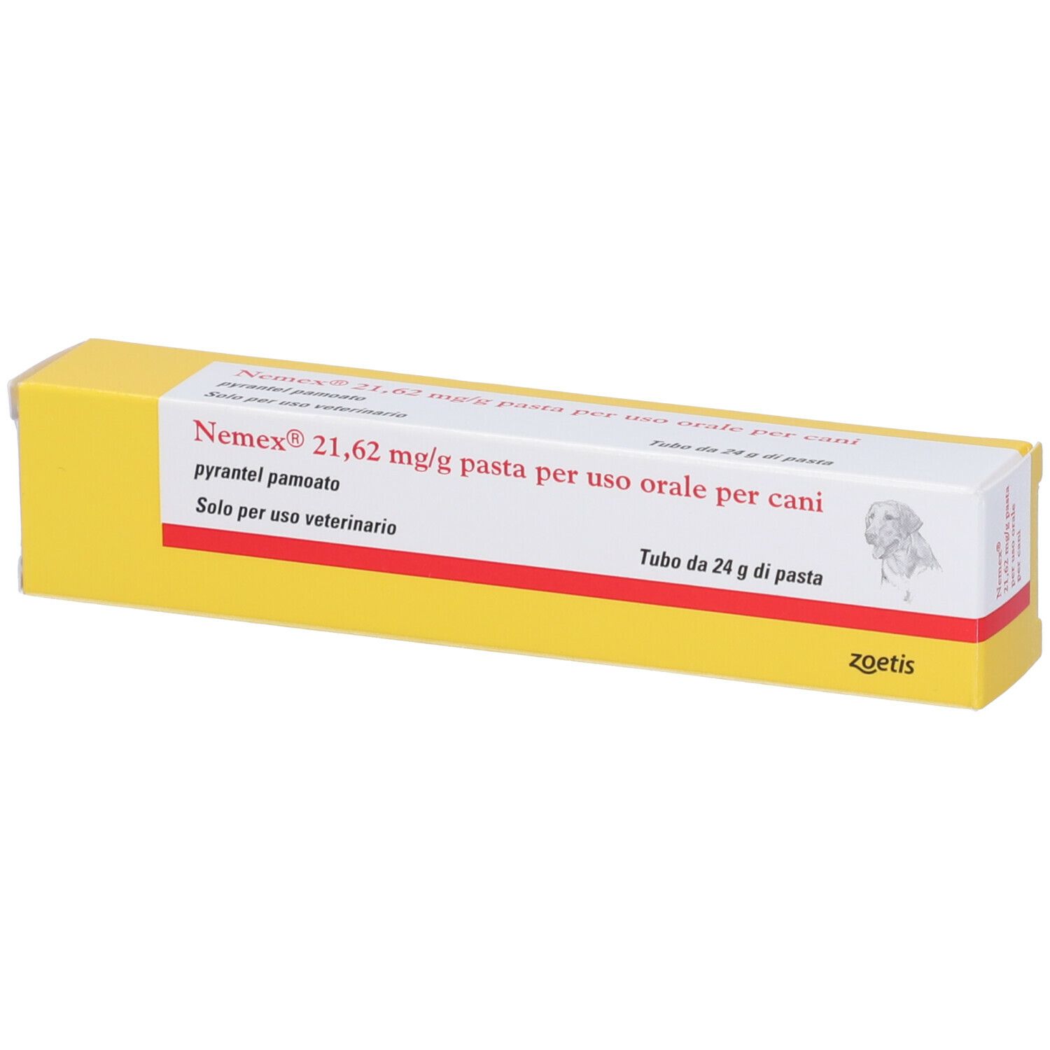 Nemex Cani Os Pasta 24G