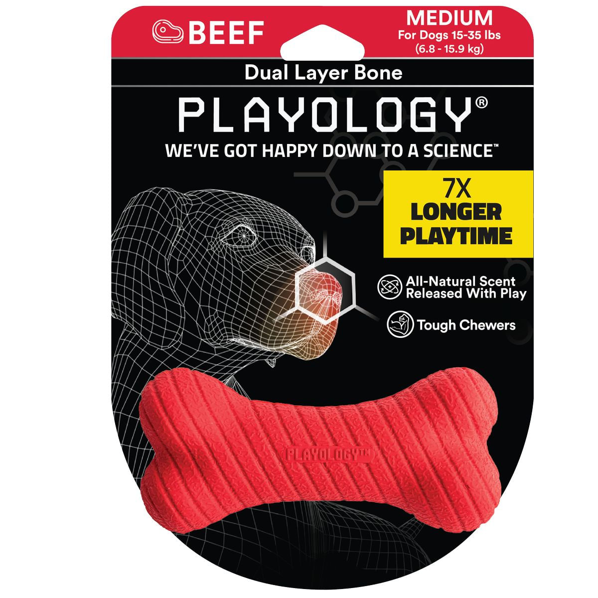 Playology Cane Gioco Osso Aroma Manzo M