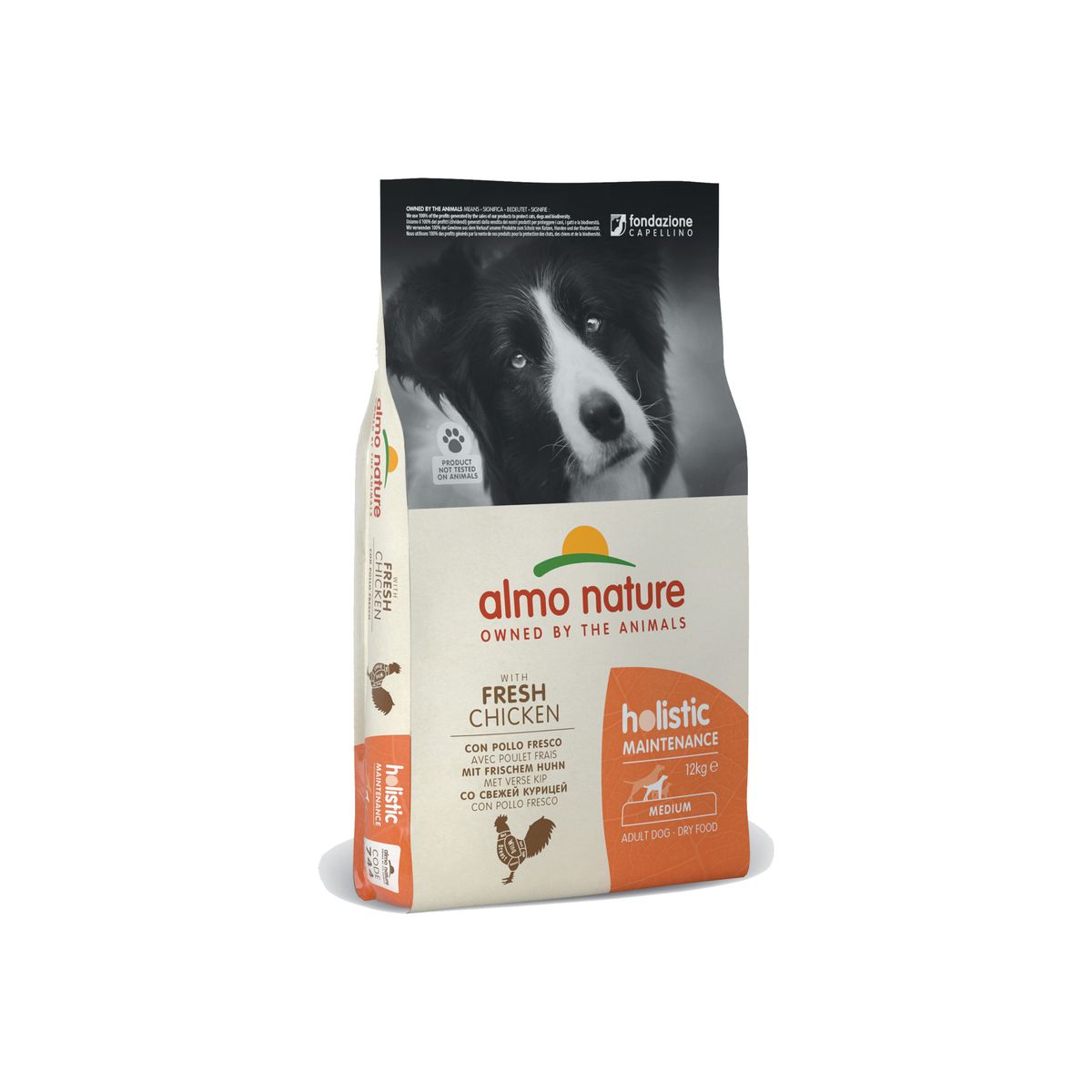 Almo Nature Holistic Maintenance Medium Large Pollo e Riso 12KG