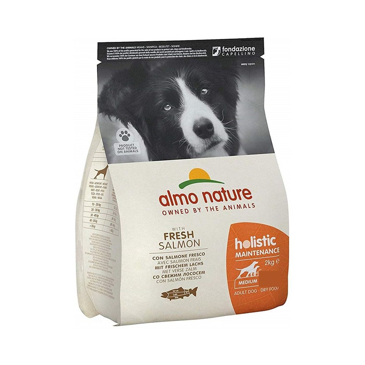 Almo Nature Holistic Maintenance Medium Salmone 2KG