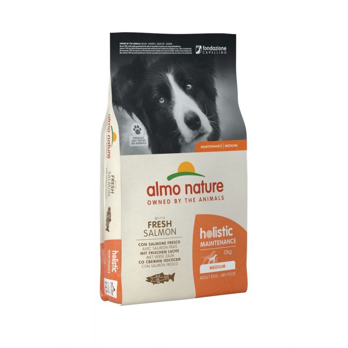 Almo Nature Holistic Maintenance Medium Salmone 12KG