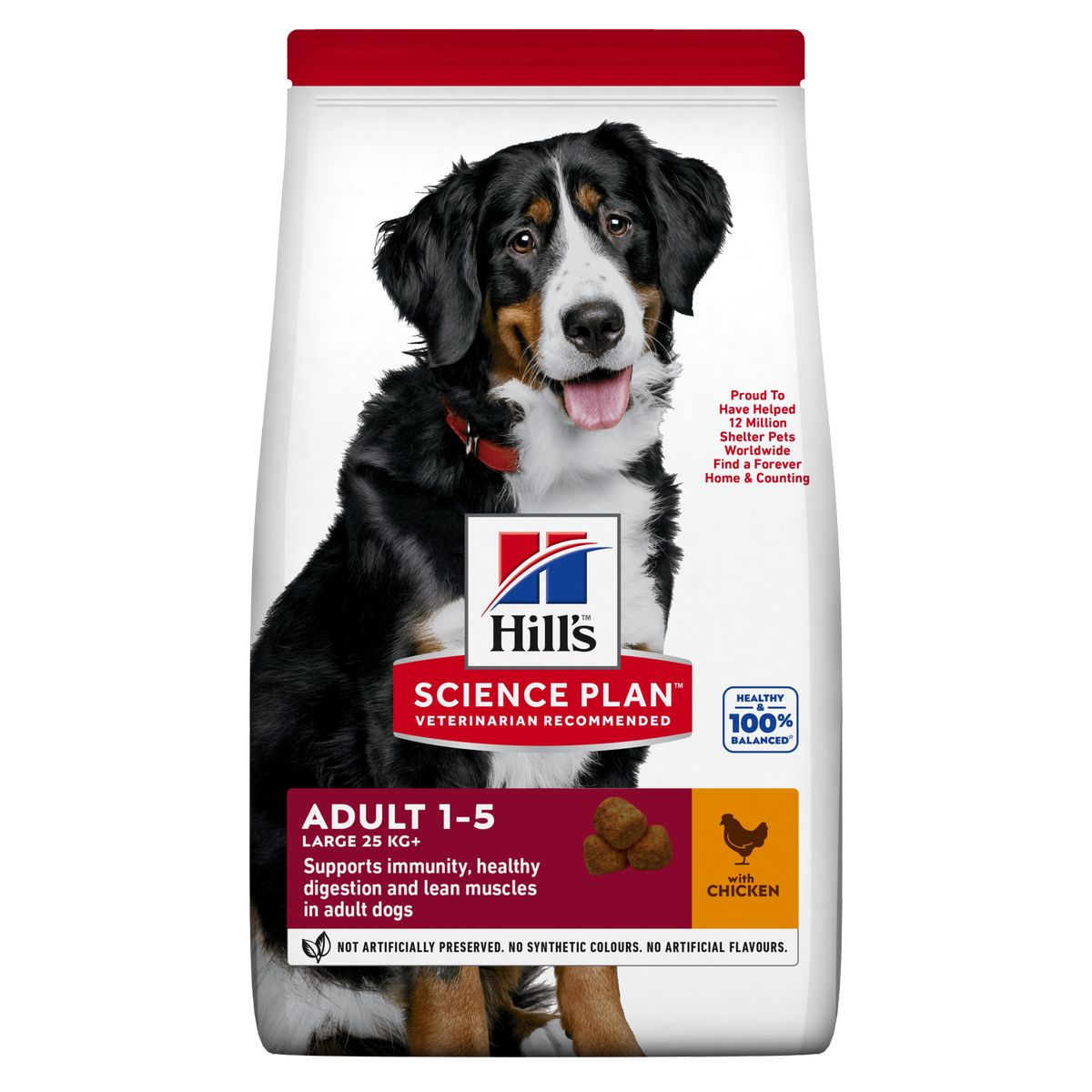 Hill's Science Plan Dog Large Adult al Pollo 18KG