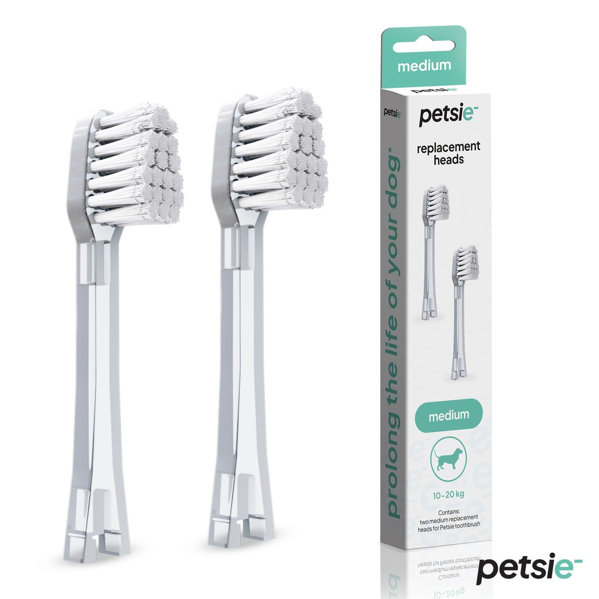 Petsie Ricambio Spazzolino Elettrico per Cane MEDIUM