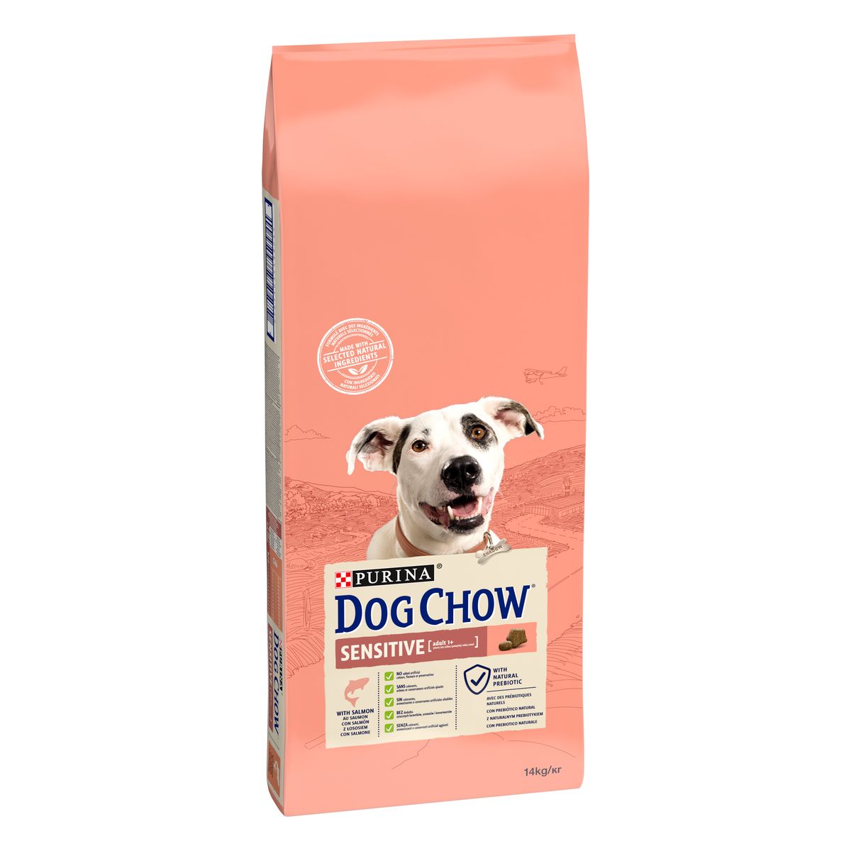 Purina Dog Chow Sensitive Salmone 14KG