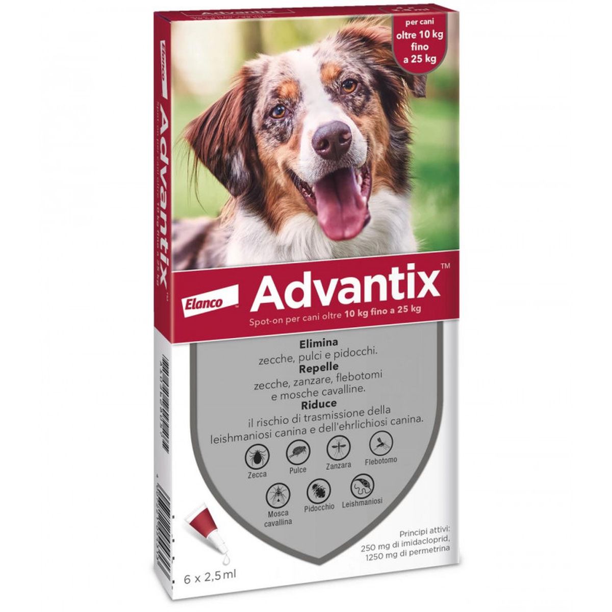Advantix Spot On Cane 10-25Kg 6 PIPETTE