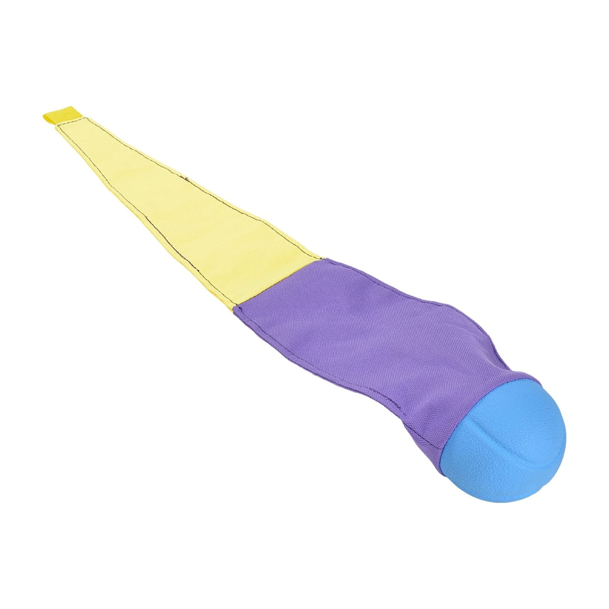 Anione Gioco Cane Aquilone