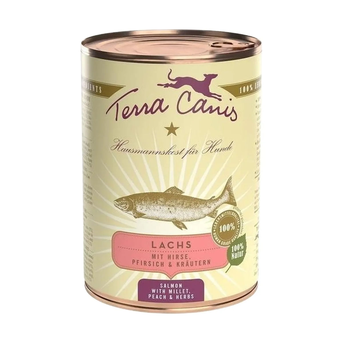 Terra Canis Dog Lattina 400G SALMONE