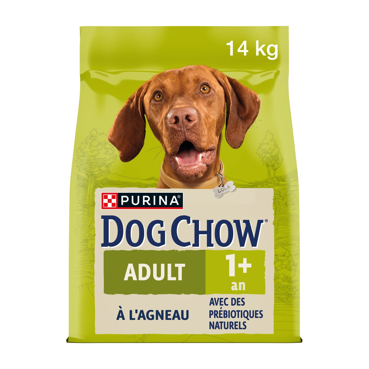 Purina Dog Chow Adult Agnello