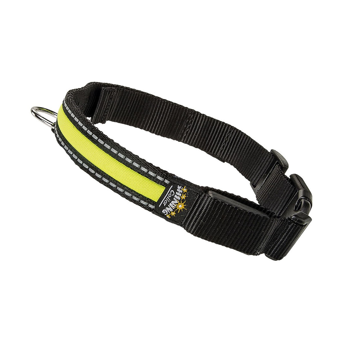 Collare Luminoso Night C M