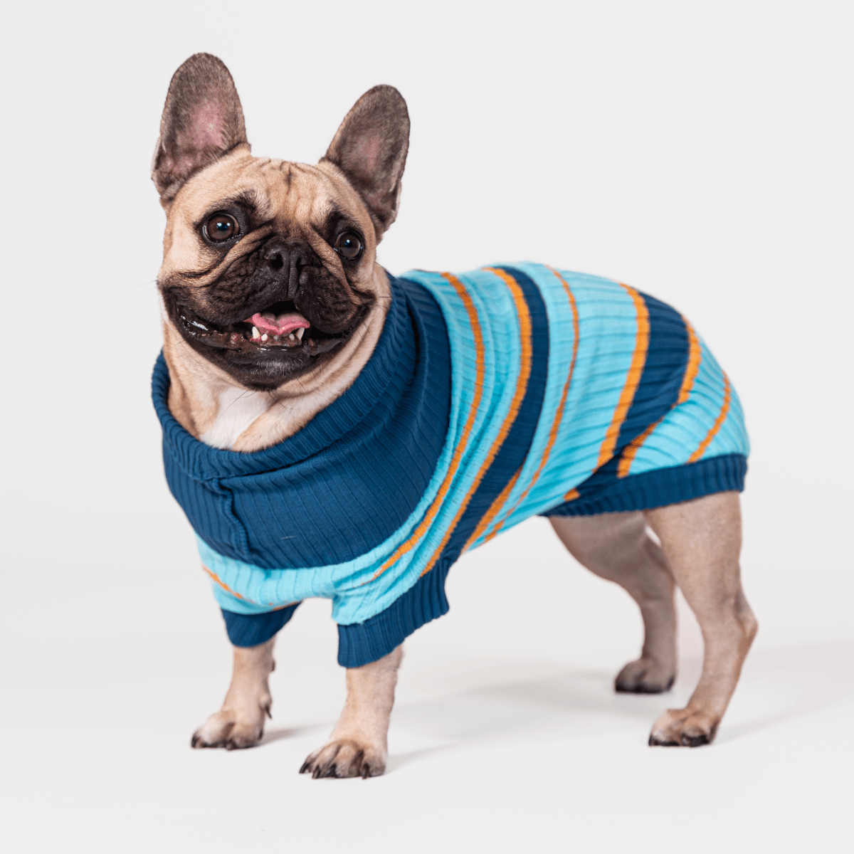AniOne Dog Maglione Little&Trendy Lou 24CM