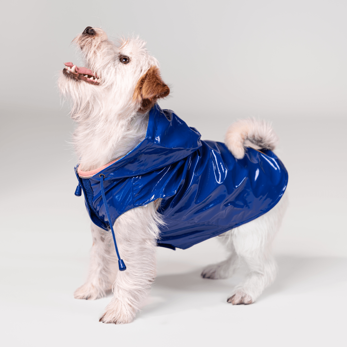 Yes! Impermeabile Cane Raindrop Blu 20CM