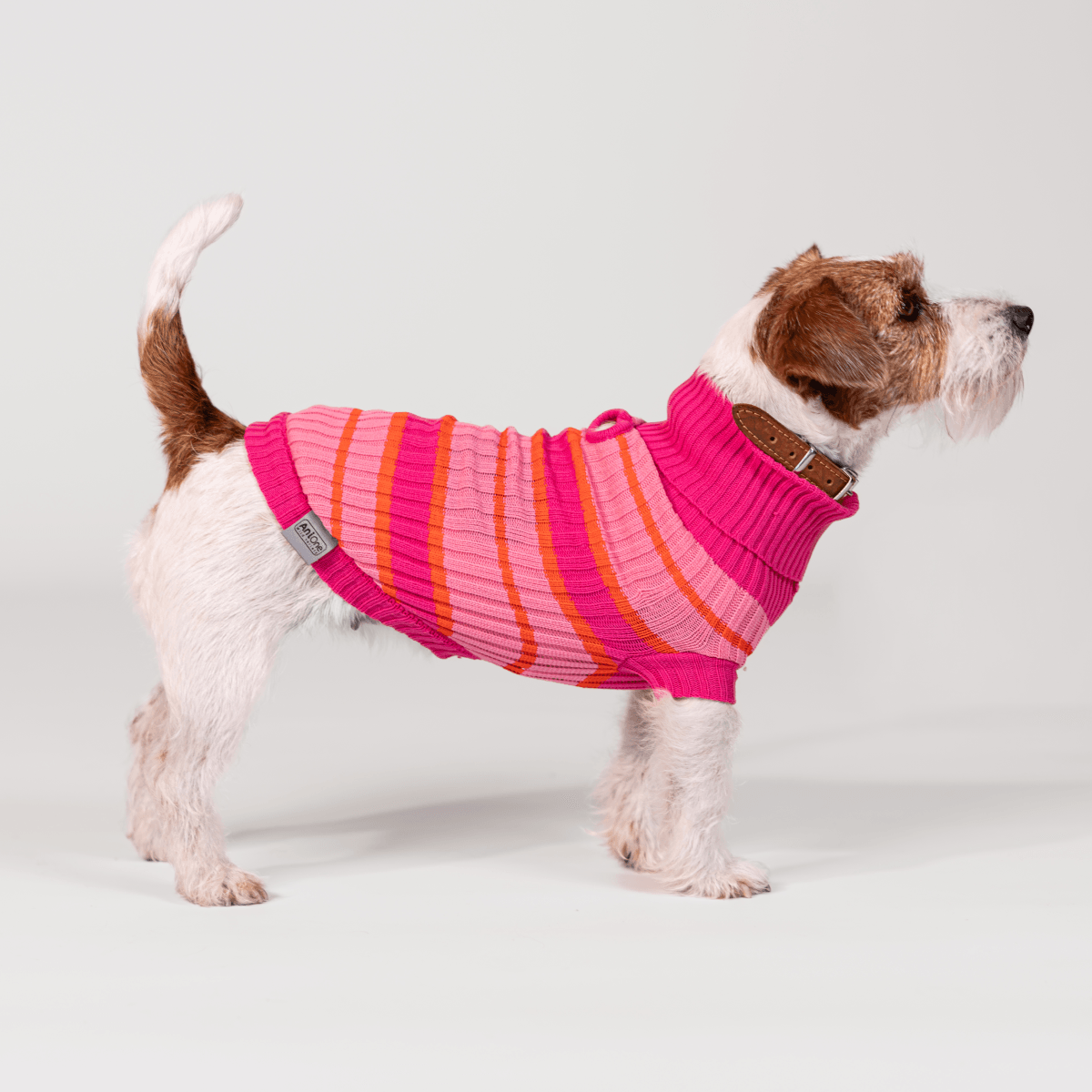 AniOne Dog Maglione Little&Trendy Lia 24CM