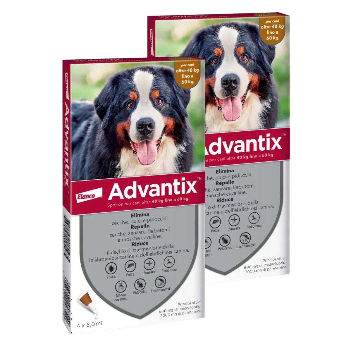 Advantix Spot On Cane 40-60KG KIT 8 PIPETTE