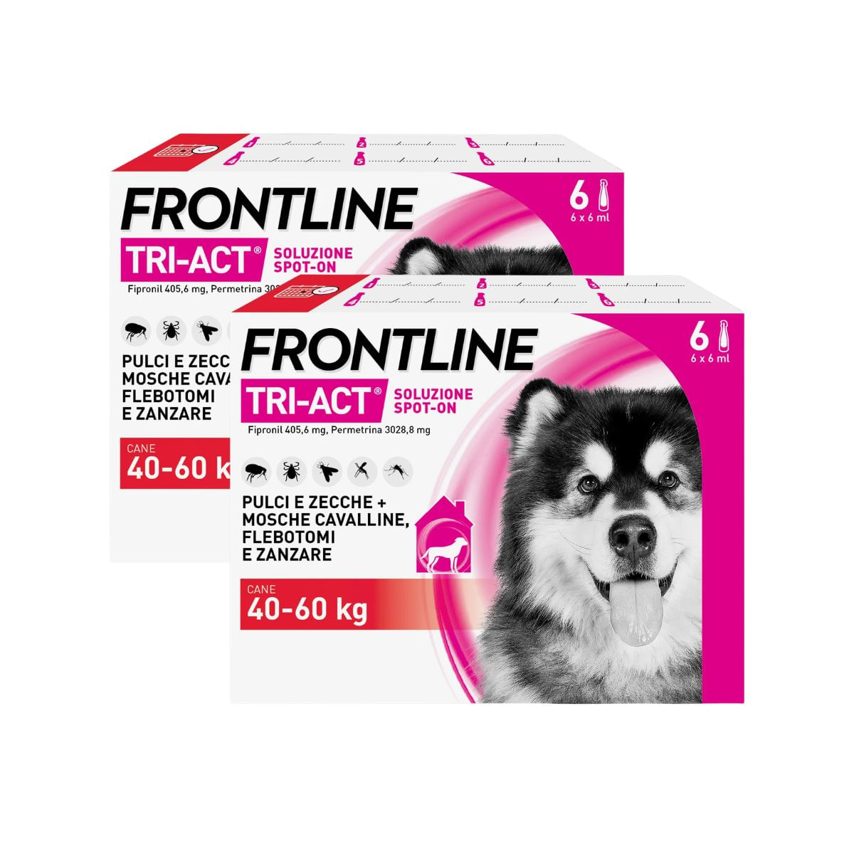 Frontline Tri-Act Antiparassitario Per Cani Contro Parassiti E Insetti Volanti 40-60Kg KIT 12 PIPETTE