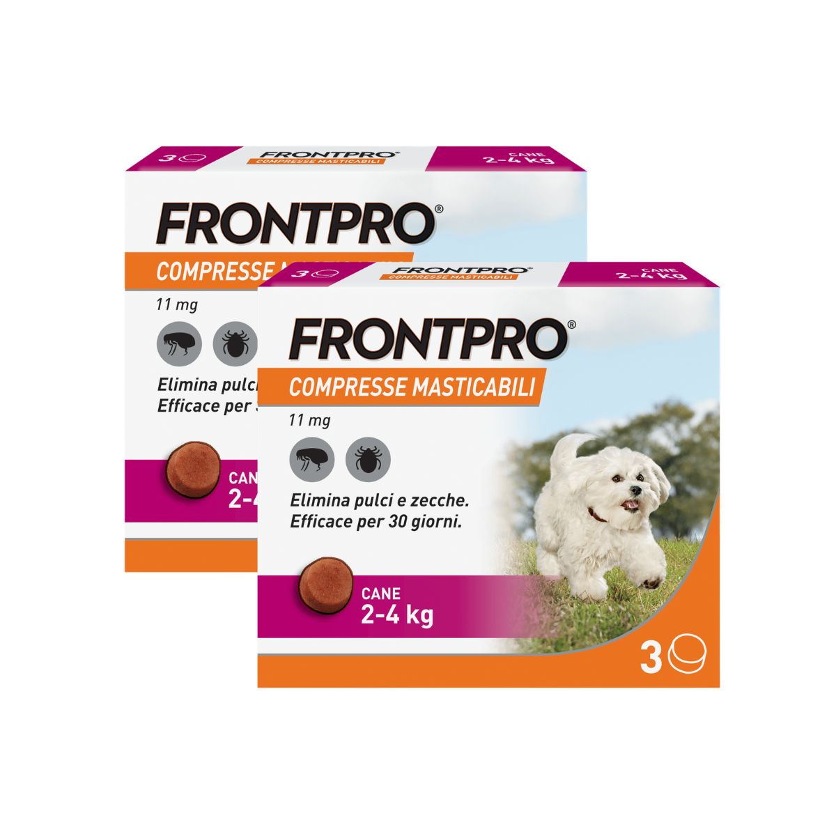 FRONTPRO Compresse Masticabili Per Cani Contro Pulci E Zecche 2-4Kg KIT 6 COMPRESSE
